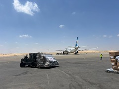 中国新援助巴勒斯坦的一批物资运抵埃及（2）