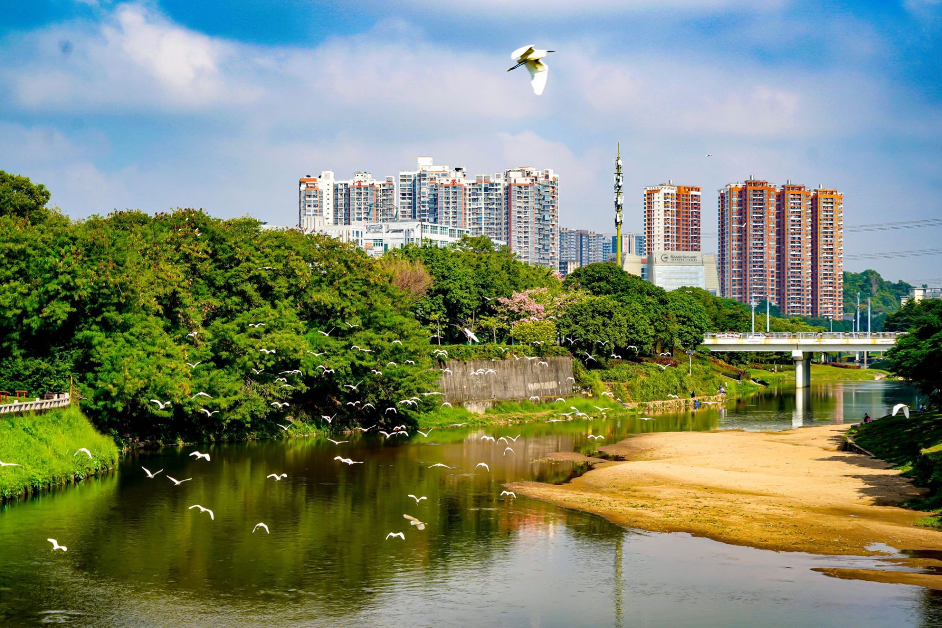 确保住房质量安全，提升本质安全水平！龙华区举行住建领域质量安全工作部署会