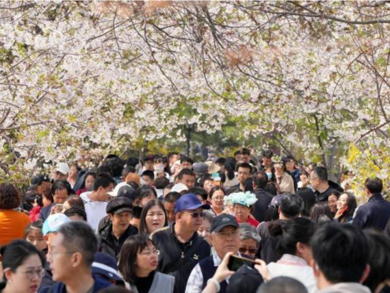 中国经济信心说丨一路“繁花”！文旅消费拉动经济“上春山”