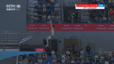 祝贺！杨昊男子十米跳台夺冠，跳水世界杯中国队8金收官