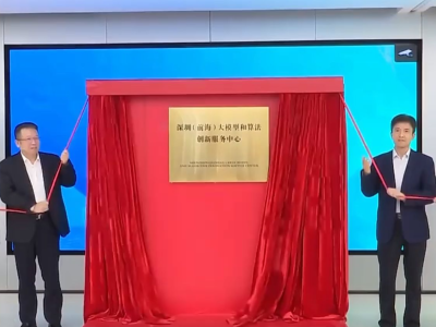 广东首个大模型和算法创新服务中心在深圳前海揭牌