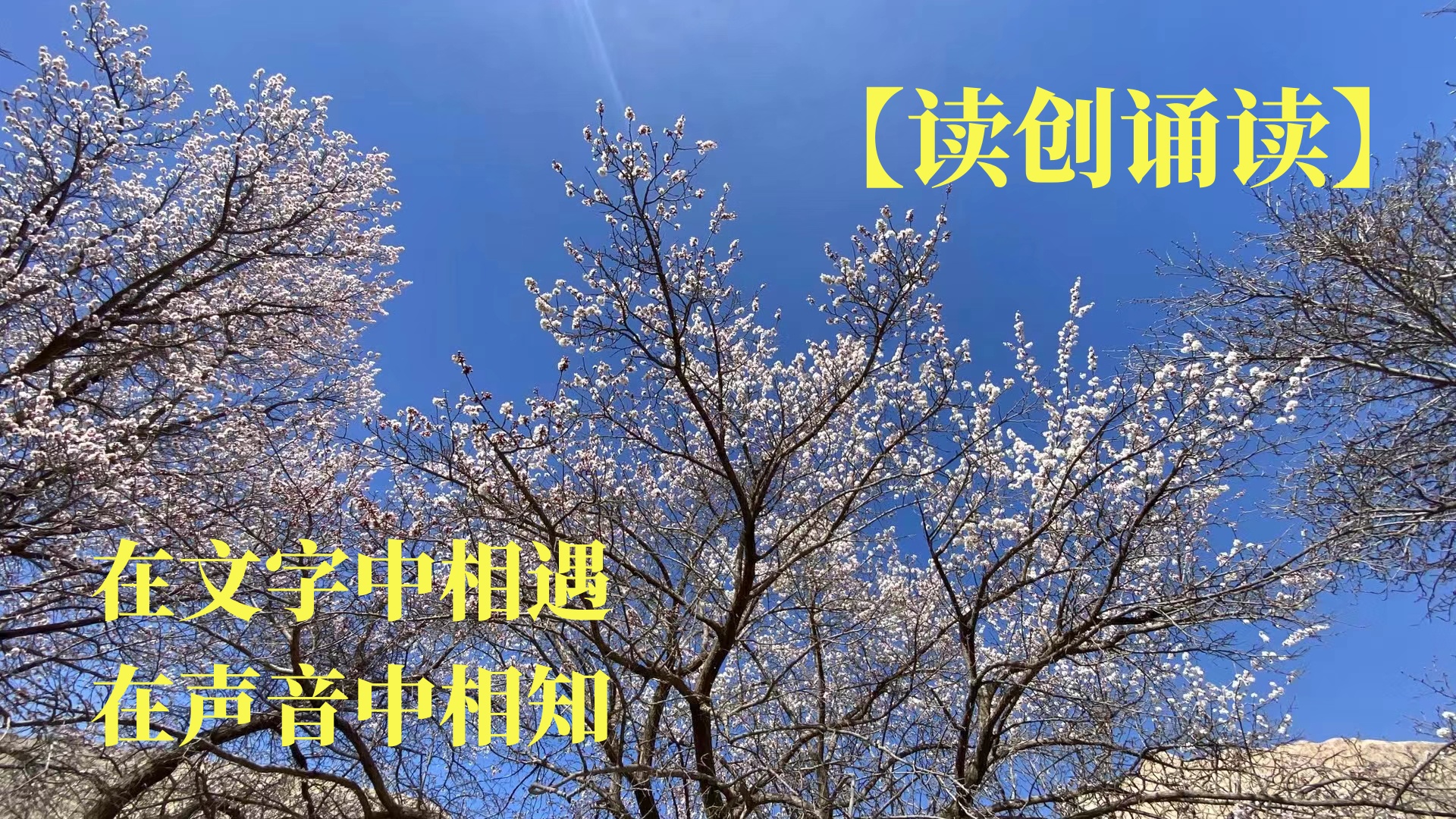 读创诵读(清明）||《梦境》《山村之夜》(作者:陈荣荣)