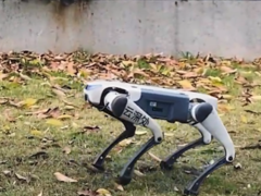 秀我中国｜看看AI训练出的“摔不倒”的机器狗