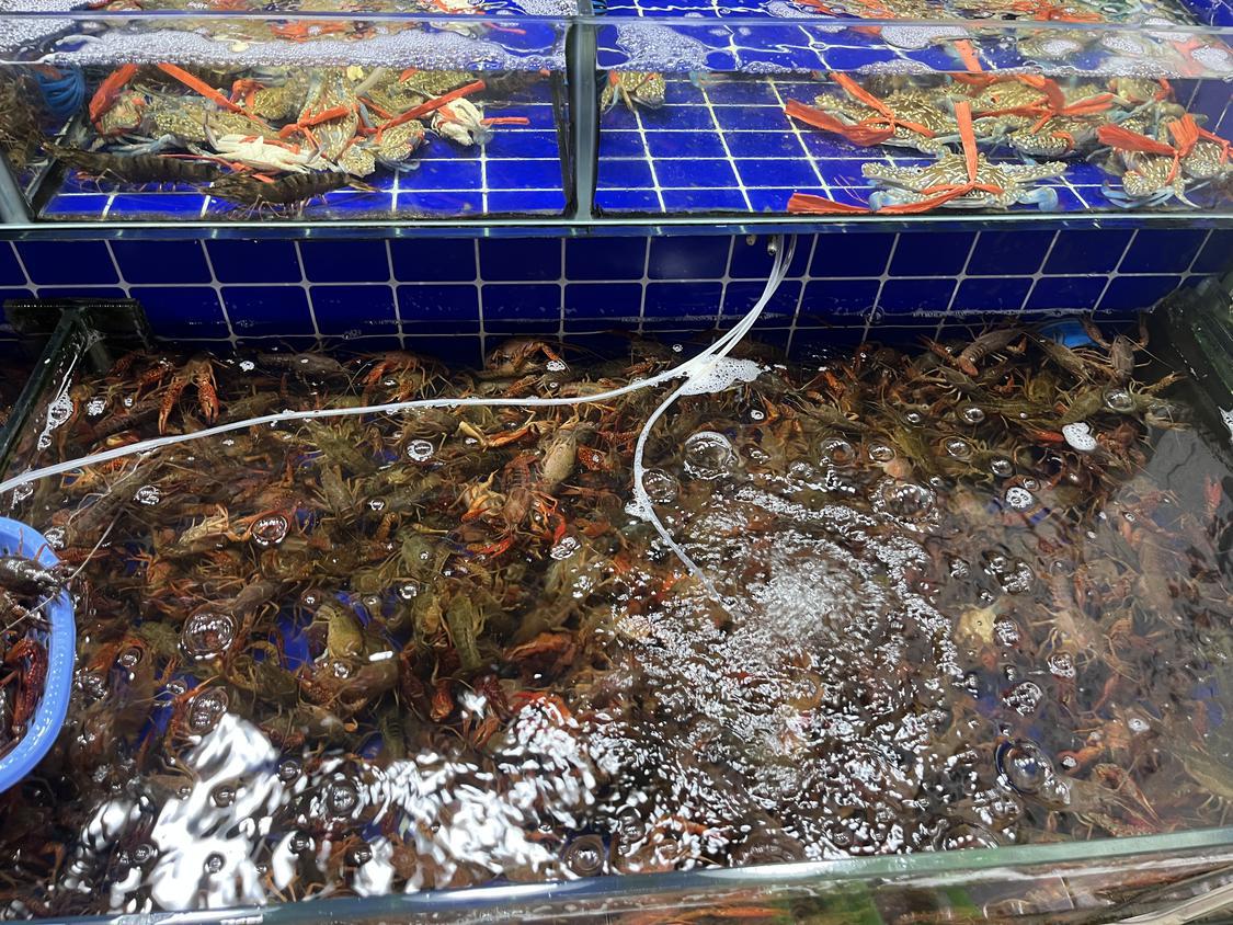 民生直击｜街坊夏天最爱的小龙虾大量上市 价格越来越亲民