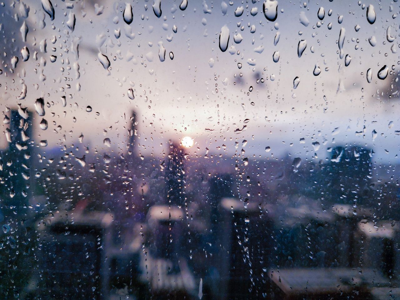 滚动更新｜深圳今日多云间晴天，白天风力明显减弱 