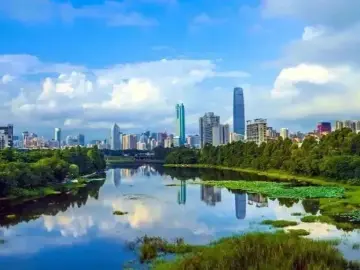“万象罗湖 生态之美” 2024年深圳市罗湖区生态文明摄影大赛火热征稿中