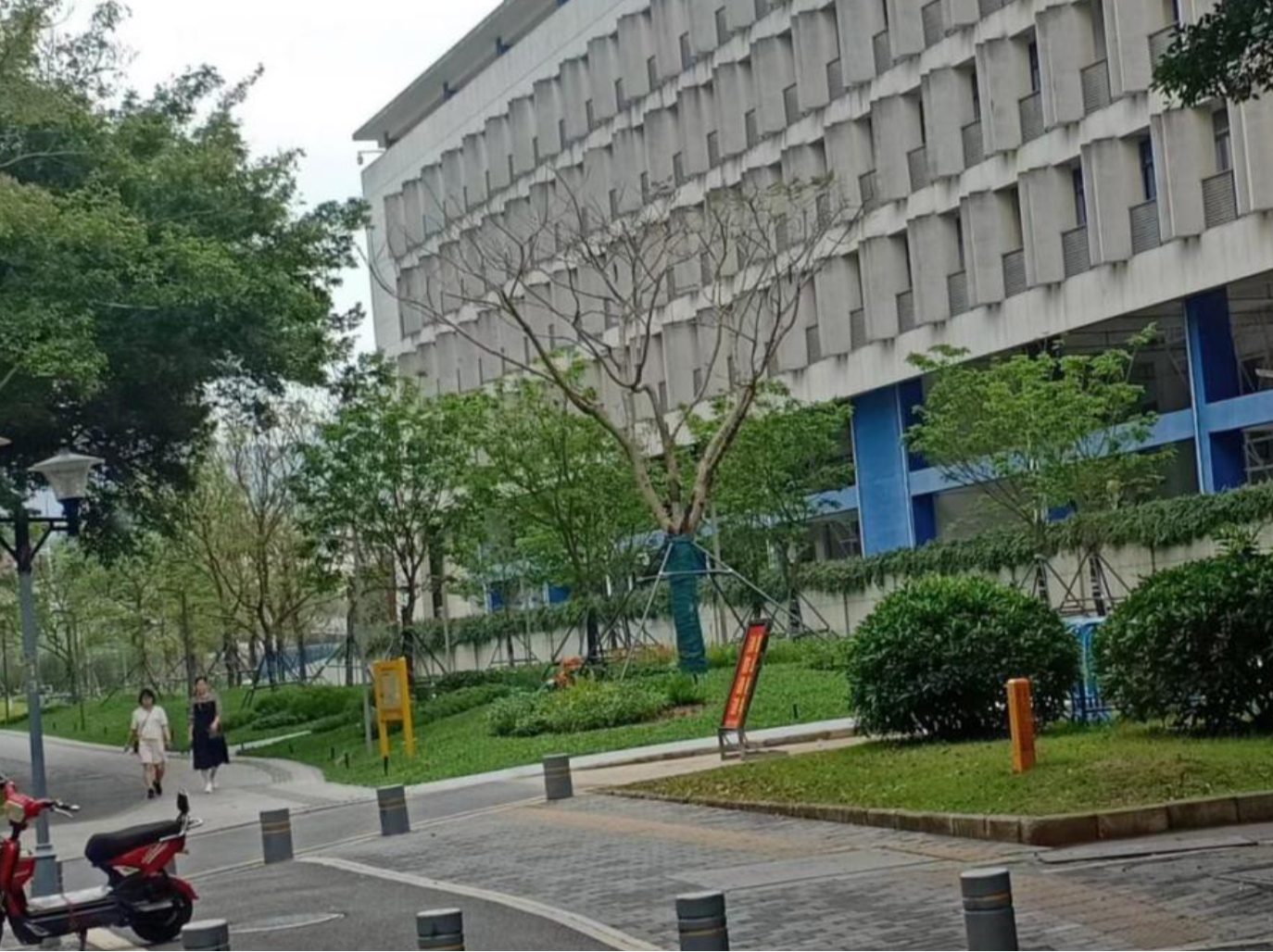 园岭街道执法队：写好临时建筑拆除和复绿的“后半篇文章”