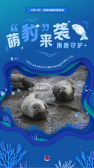 （图表·海报）斑海豹保护宣传日：萌“豹”来袭 用爱守护（8）