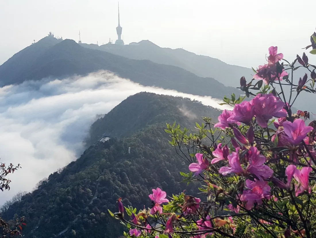 深圳市第一批地名保护名录公布