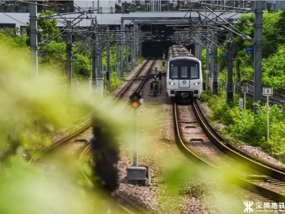 进度刷新、领跑全国……深圳的交通线网值得一声：哇！