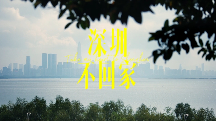 深圳不回家 