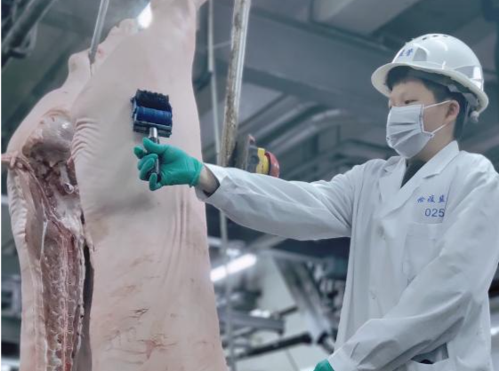 深圳四号屠宰场8位动物检疫员当好“肉品卫士”