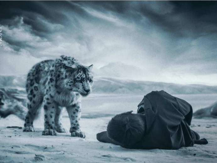 看点揭秘！万玛才旦电影《雪豹》上映