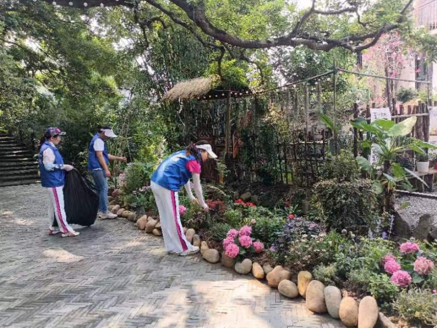 石井街道：楼长当“园丁”，“口袋花园”更绿美
