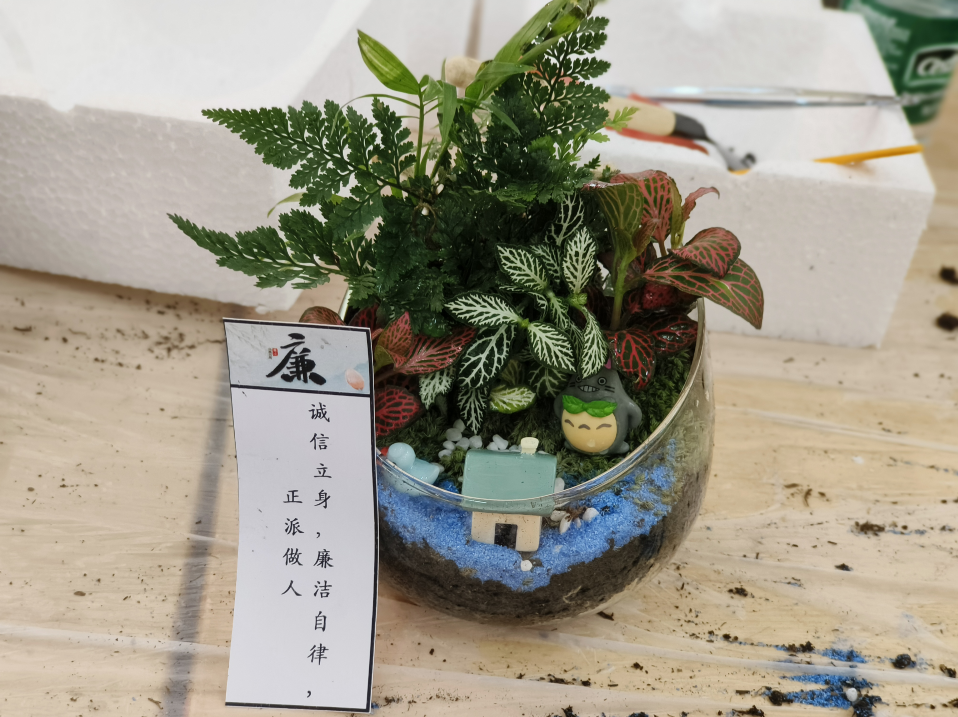 朗下社区开展“绿植韵廉心”植物微景观DIY活动