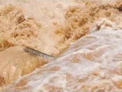 珠江流域44条河流发生超警洪水！