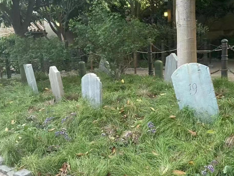上海迪士尼度假区里有块“墓地”？工作人员回应