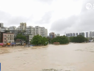 珠江时评：与洪水赛跑 全力以赴做好防汛救灾工作