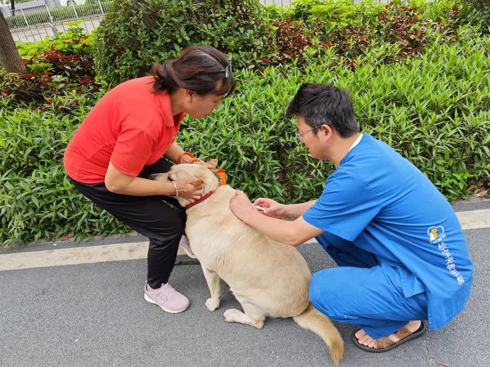潭头社区开展“和谐潭头 幸福社区 ”文明养犬宣传活动