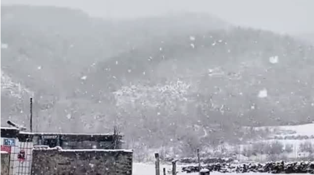 立夏将至 河北承德多地下起鹅毛雪