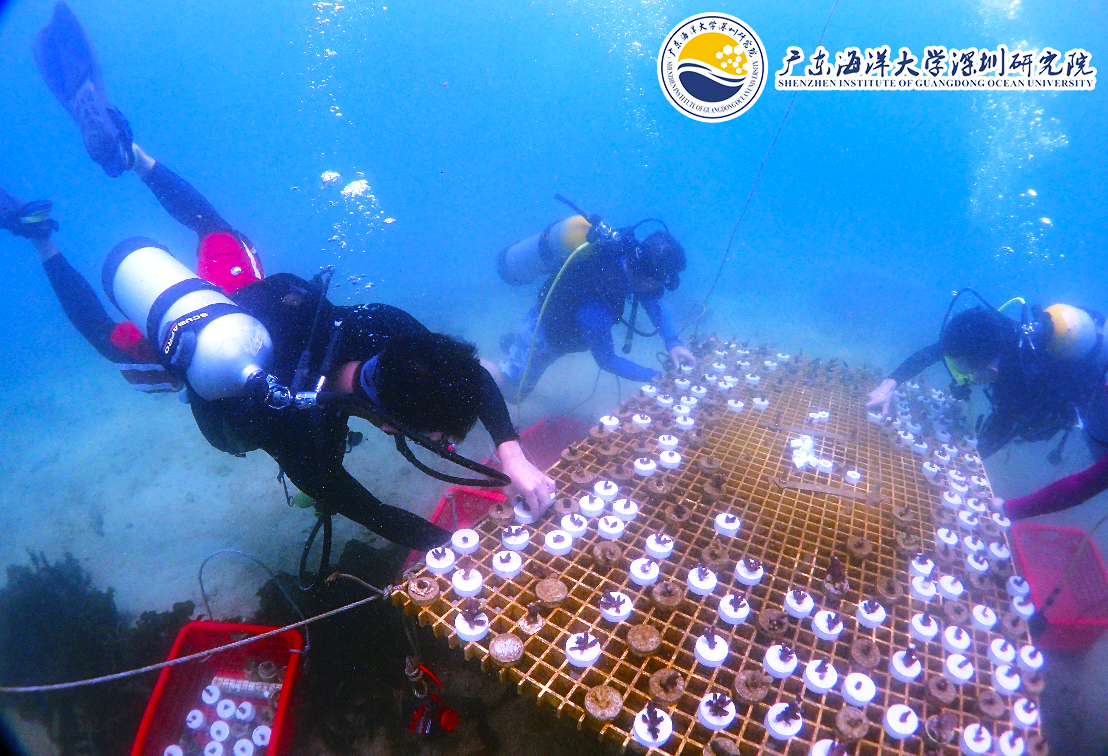 免费名额！2024深圳渔博会喊你来种珊瑚啦！