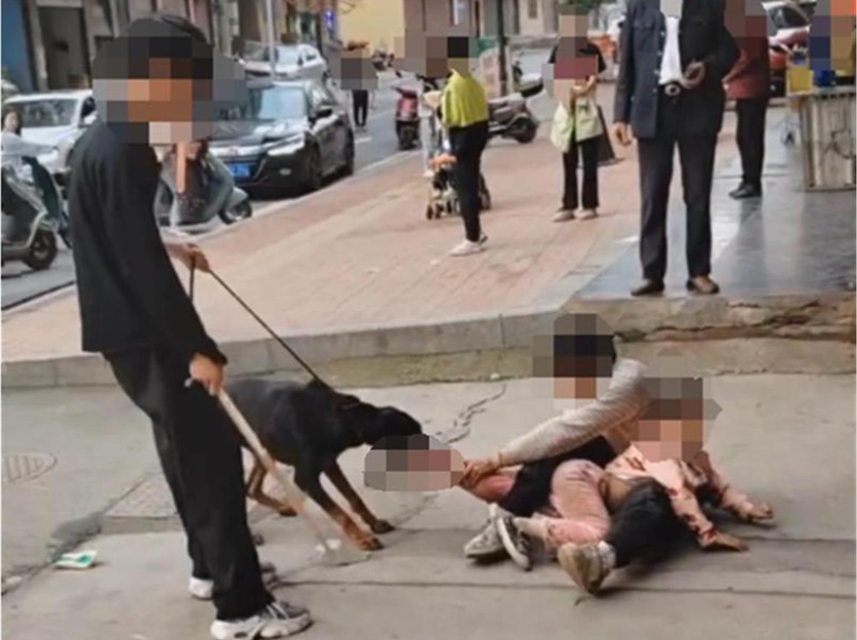 湖南衡阳一小女孩在街边遭恶犬撕咬 警方已介入调查