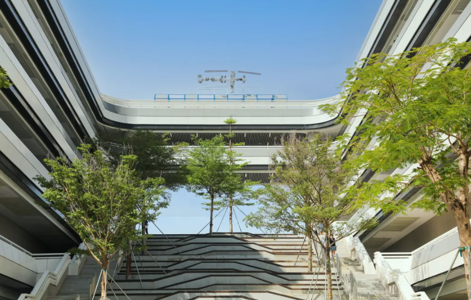 深圳市格致中学：培养新时代拔尖创新人才