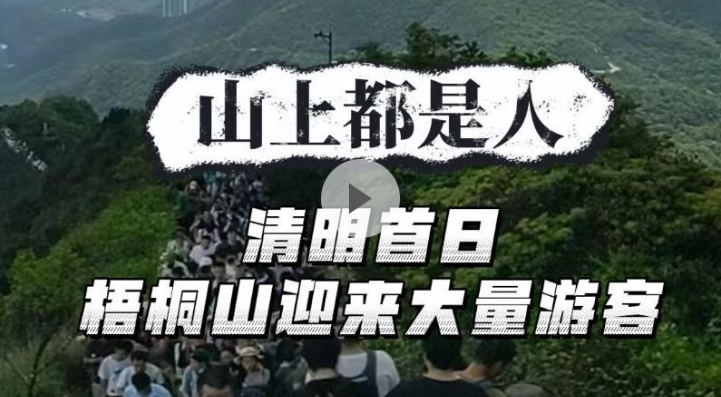 晶视频｜山上都是人！ 清明首日梧桐山迎来大量游客