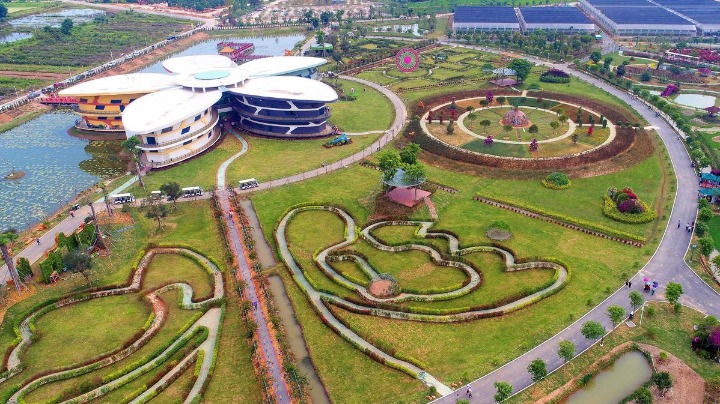 五一假期，快来斗门品海鲜、赏民俗、观龙舟……