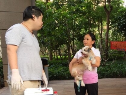 《惠州市养犬管理条例》出台，今年10月1日起施行