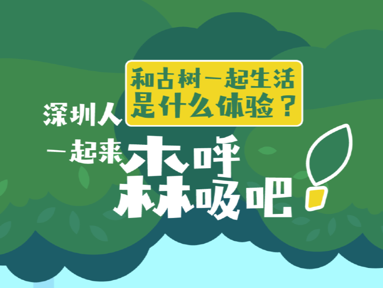 深晚数据实验室｜我姓古，我向全深圳人告白！