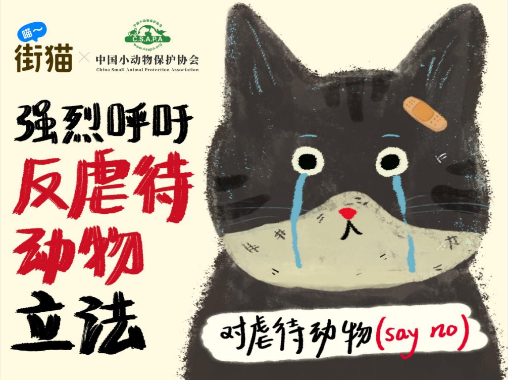 万人签名为流浪动物发声！街猫首推“反虐待动物主题宣传月”活动