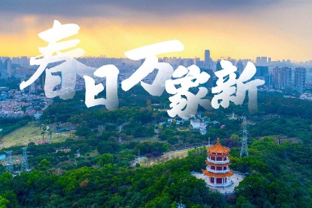 踏青赏花 “偶遇”春天