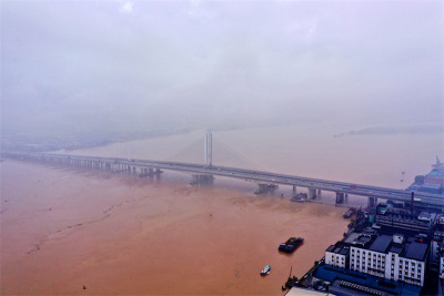 最新进展：广东省公路设计院总工程师表示桥梁目前安全