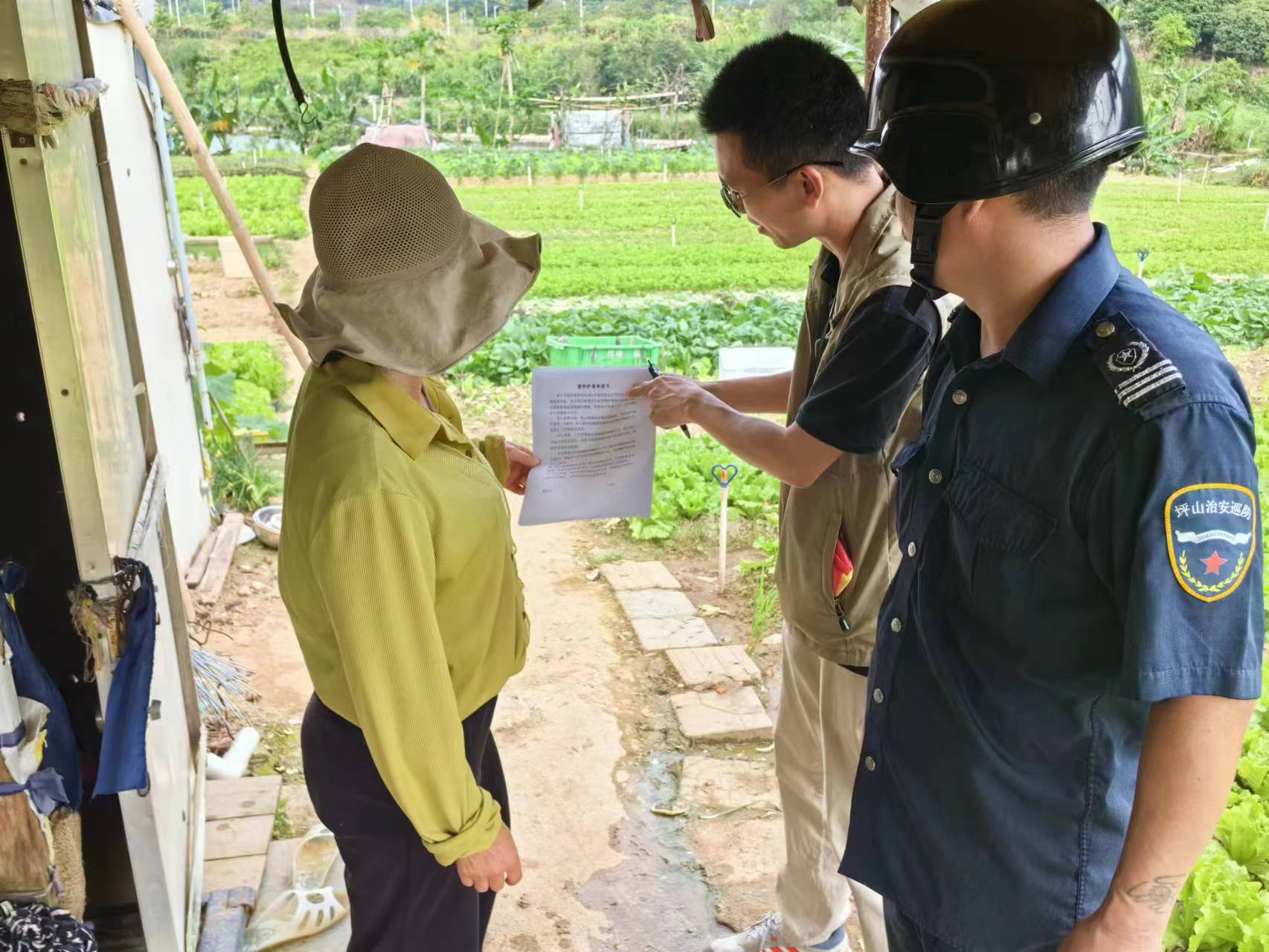 碧岭街道开展禁种铲毒行动，增强全民禁毒意识