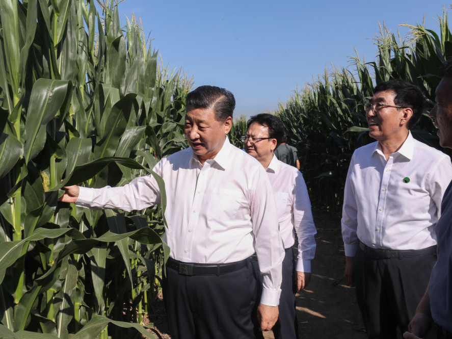 第一观察 | 习近平总书记田间地头话农事