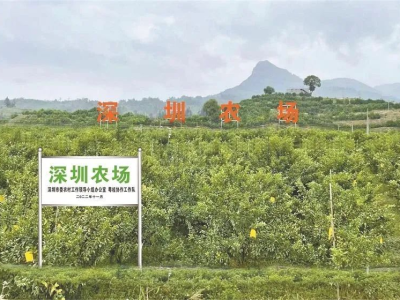 “深圳农场”总数已增至69个！