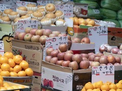 苹果和大葱搅动韩国国会选举