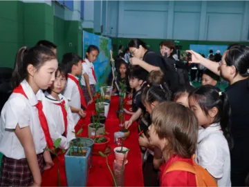 华侨城小学携手蛇口外籍人员子女学校开展“认养红树苗”活动