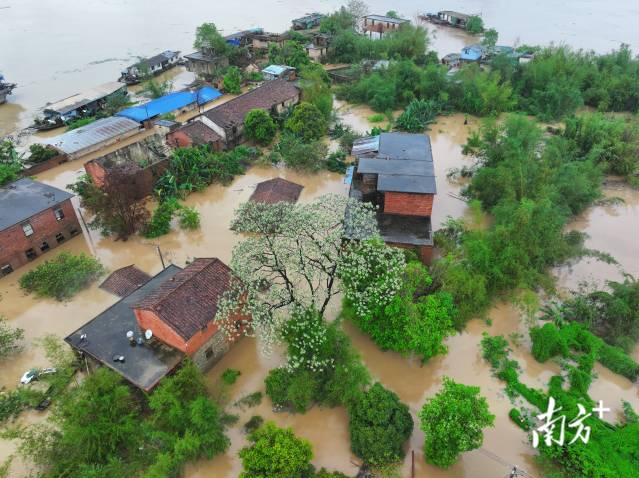 最新水情研判：预计北江洪峰将于22日9时出现