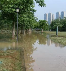 强降雨直击｜暴雨持续，五区这些公园水浸围蔽 ，市民先别来了