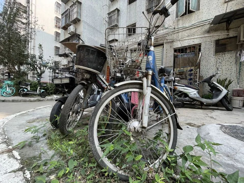 清理“僵尸非机动车”，不能一直“僵”在那儿丨圳论