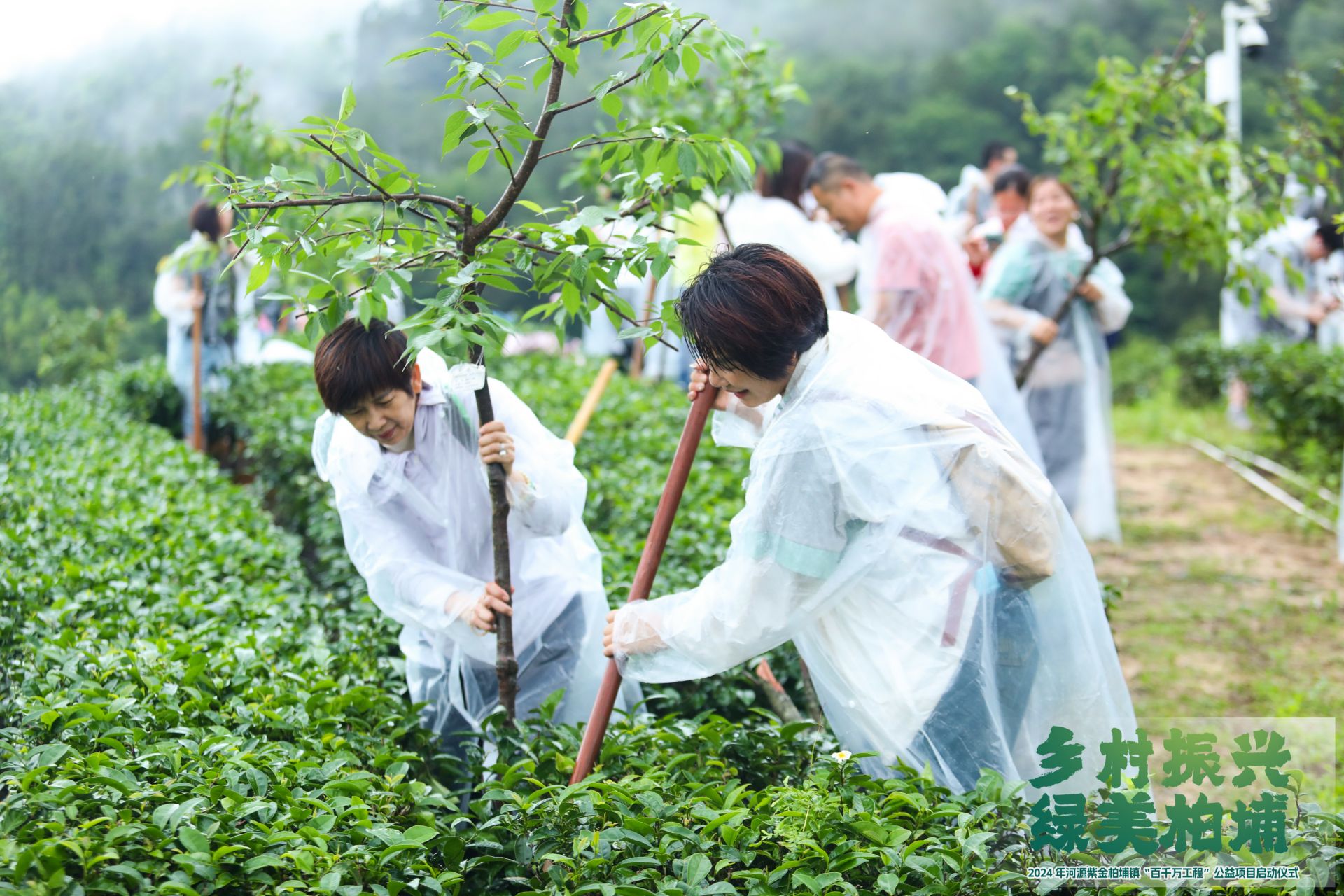 平安人寿深圳分公司携手柏埔镇启动“乡村振兴，绿美柏埔”公益项目