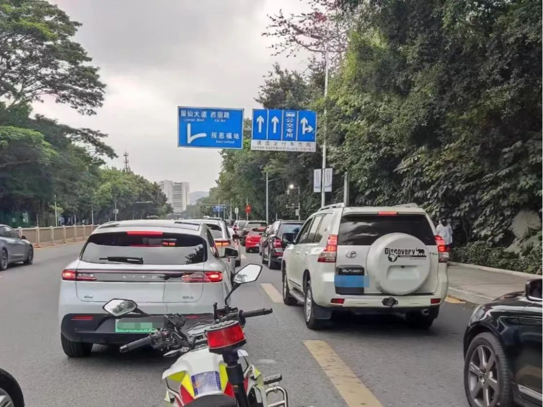 清明祭扫错时错峰、绿色出行！这些墓园和道路实行交通管制