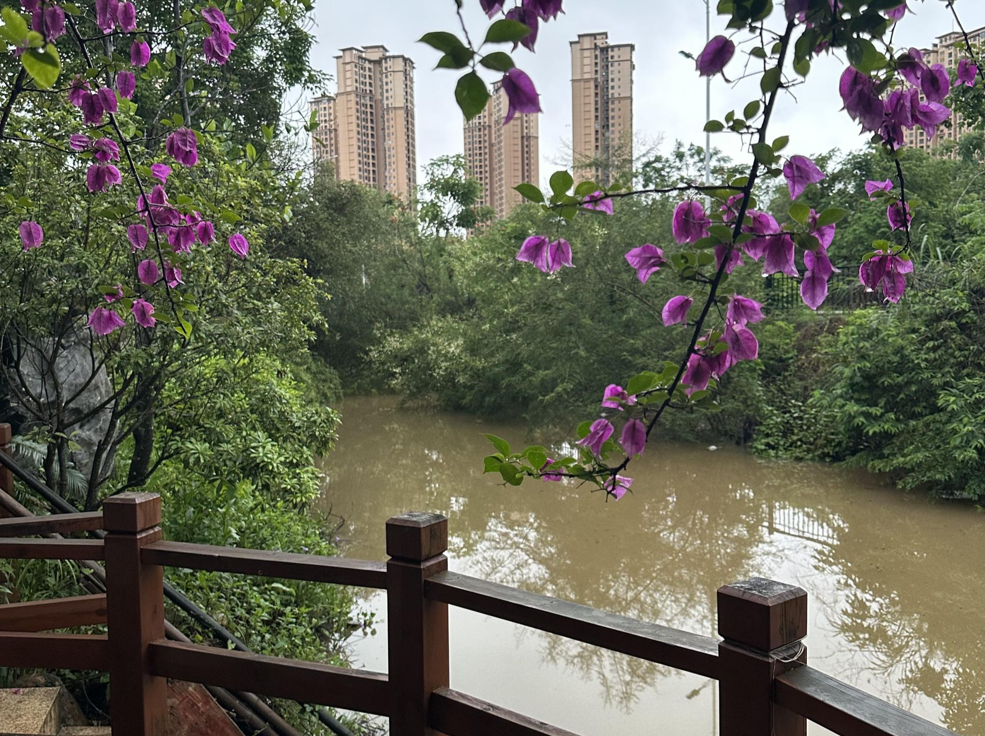 在小溪旁等你
