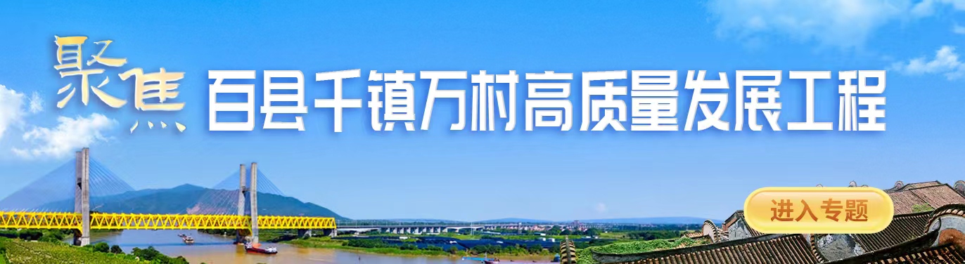 发挥资源优势！佛山社会组织积极投身“百千万工程”