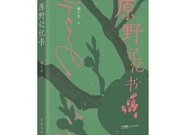 看勇敢的小说家如何讲故事  ——读谢小灵《原野记忆书》