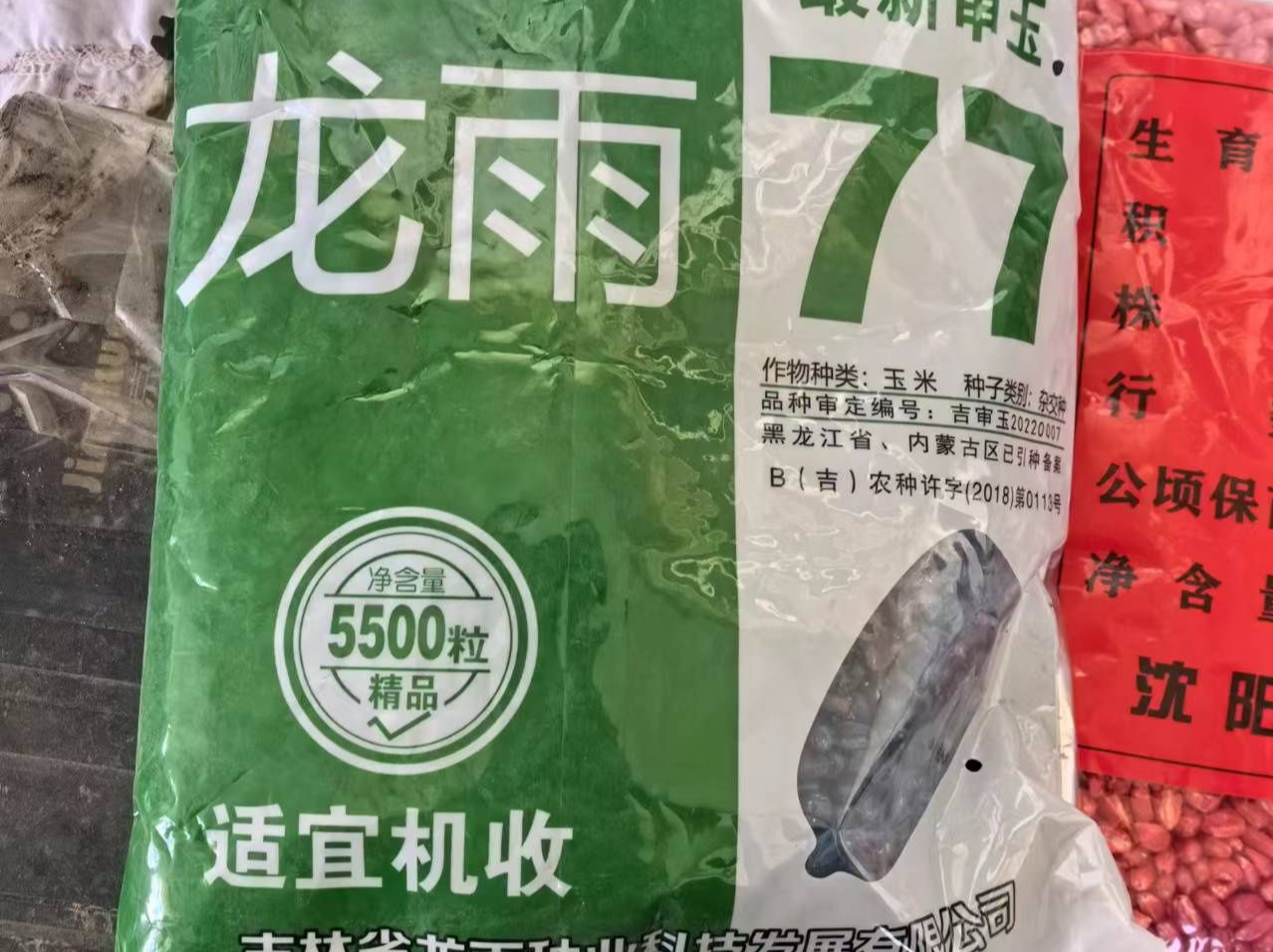 伪劣种子“横行”齐齐哈尔，农业农村部责成黑龙江省赴当地核查