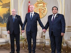 突尼斯、阿尔及利亚和利比亚领导人讨论地区局势