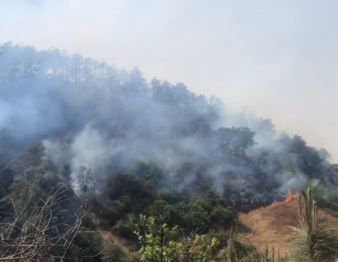 云南大理海东镇突发山火 正全力扑救